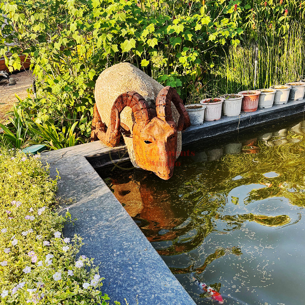 Thirsty Ram Thirsty Ram